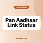 पैन आधार लिंक स्टेटस कैसे चेक करें, 2 मिनट में (PAN Aadhaar Link Status) 3 pan aadhaar link status cover 1